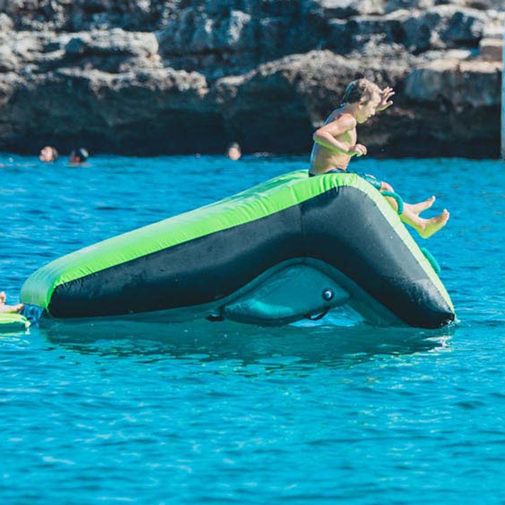 Jobe Switch funtube 2 personen