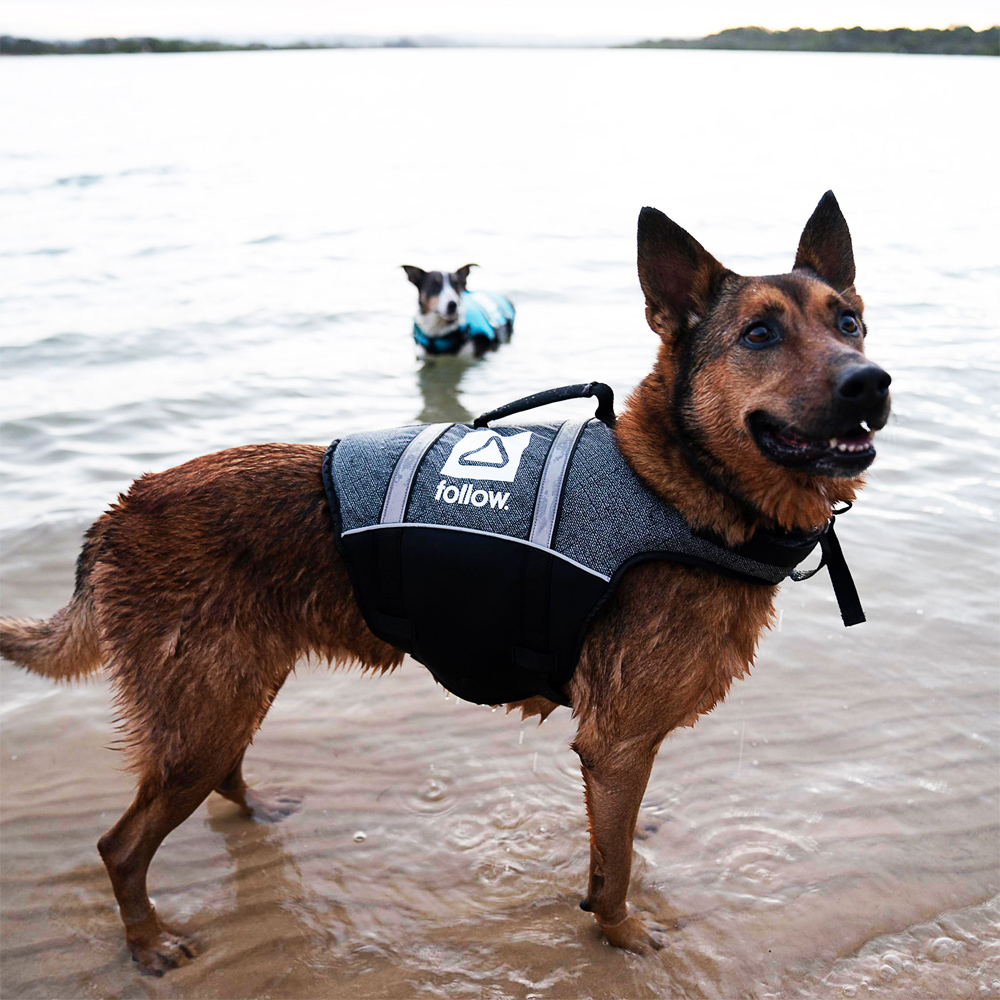 Follow Hondenzwemvest zwart